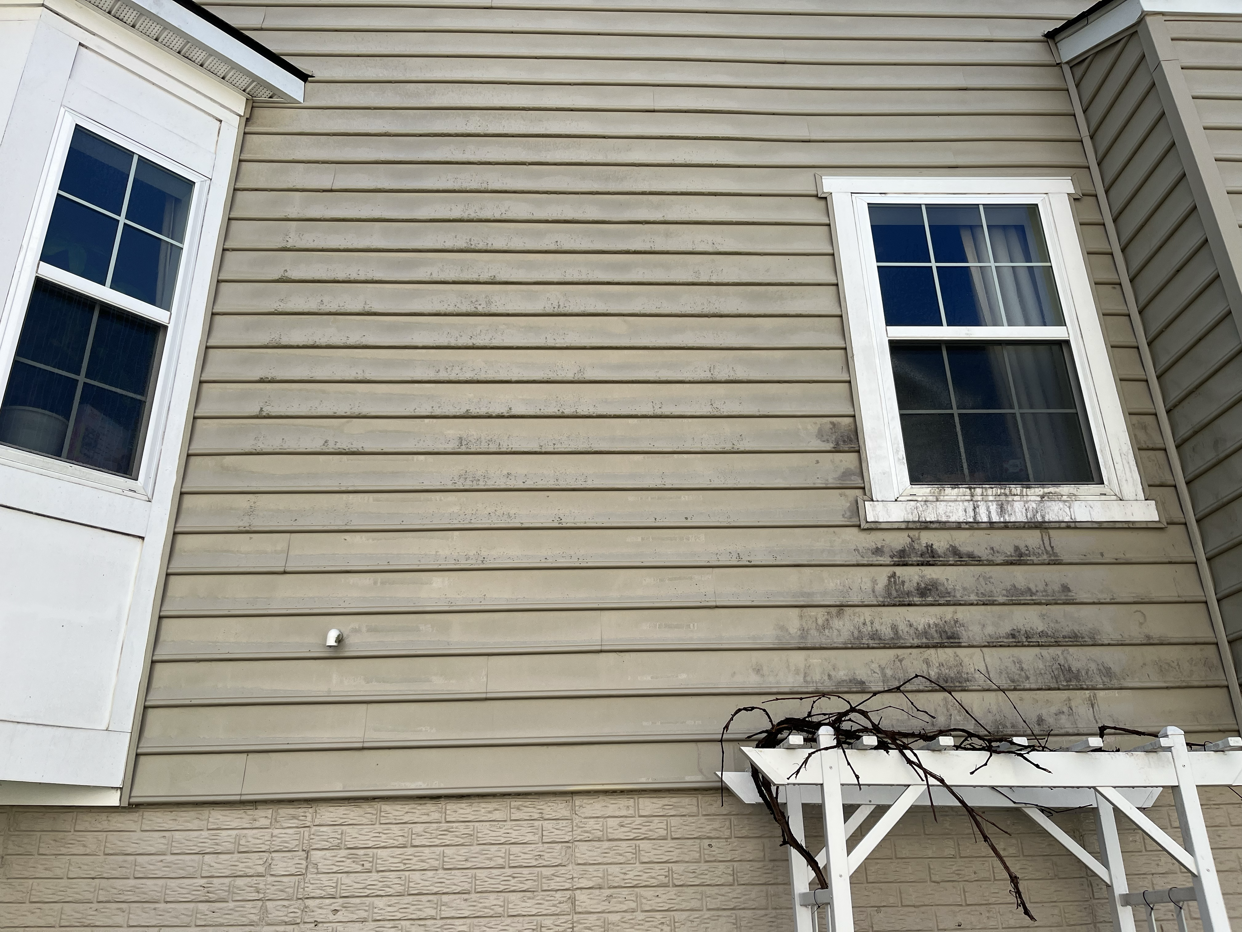 Untreated house siding before washing